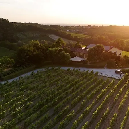 La Meirana - Delle Vigne Villa Gavi