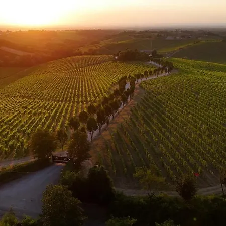 La Meirana - Delle Vigne Villa *