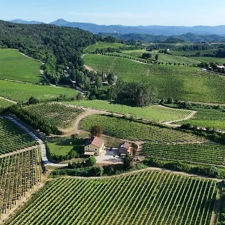 Tenuta La Meirana - Tra I Vigneti