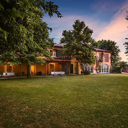 Tenuta La Meirana - Tra I Vigneti *
