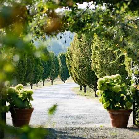 Villa La Meirana - Delle Vigne