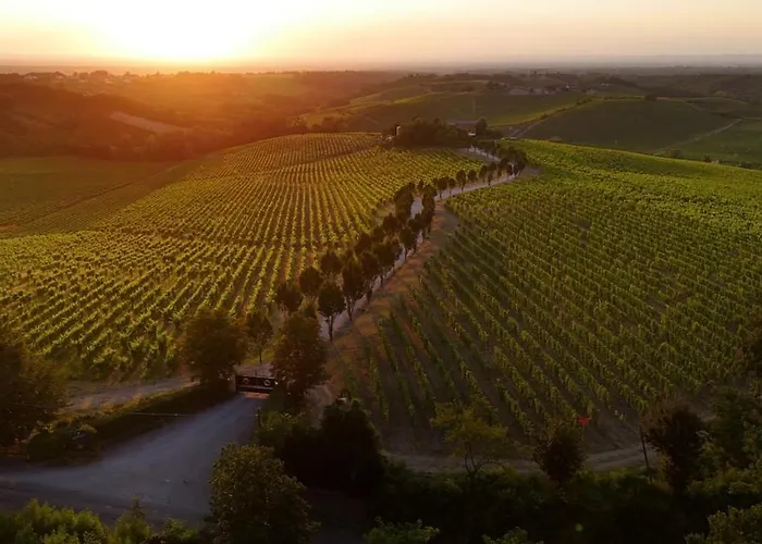 La Meirana - Delle Vigne Villa *
