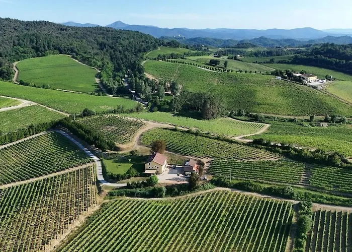 La Meirana - Delle Vigne