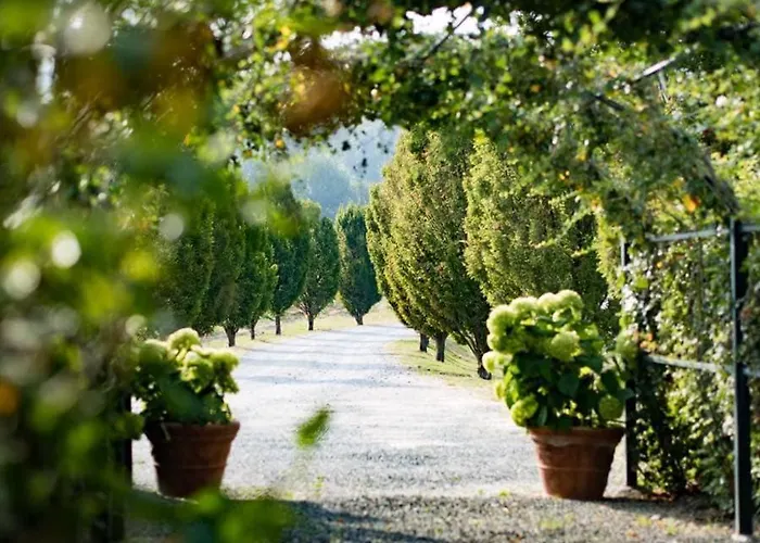 Villa La Meirana - Delle Vigne